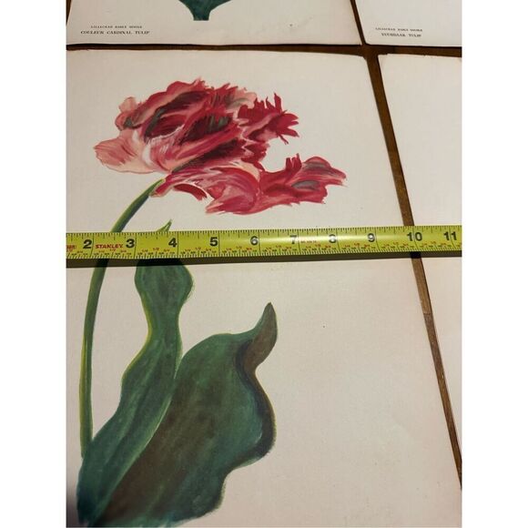 Flowers Drawn by Arlette Davids Text by Princess Bibesco prints Red  10x14” - Picture 11 of 12